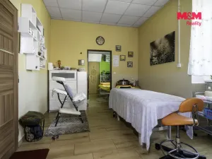 Prodej obchodního prostoru, Hlinsko, O. Nejedlého, 380 m2