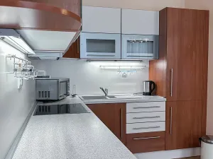 Pronájem bytu 2+kk, Mariánské Lázně, Třebízského, 50 m2