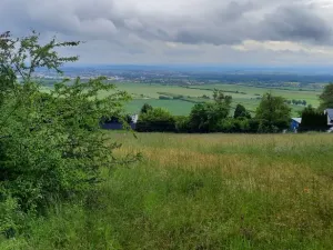 Prodej pole, Olomouc - Droždín, 1419 m2