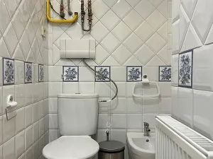 Pronájem bytu 2+kk, Praha - Karlín, Kubova, 65 m2