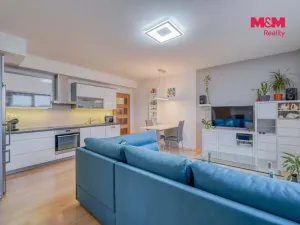 Prodej bytu 3+kk, Plzeň - Bolevec, U Velkého rybníka, 102 m2