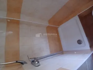 Pronájem bytu 1+1, Praha - Holešovice, Letohradská, 50 m2