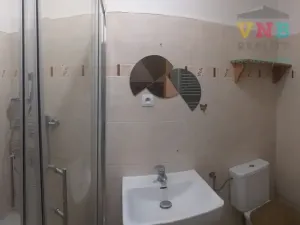 Pronájem bytu 1+1, Brno, Vranovská, 33 m2