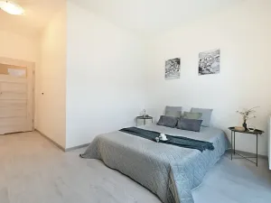 Pronájem bytu 2+kk, Janovice nad Úhlavou, 49 m2