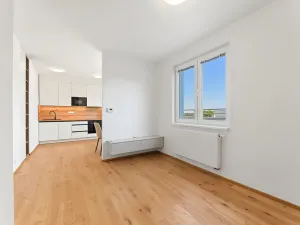 Pronájem bytu 1+kk, Praha - Břevnov, Pod Drinopolem, 41 m2