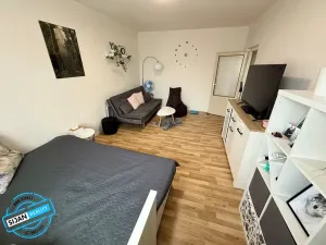 Pronájem bytu 1+1, Opava, 38 m2