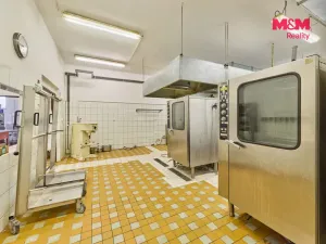 Prodej výrobních prostor, Trutnov - Dolní Předměstí, Lomní, 350 m2