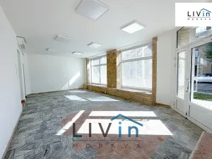Pronájem obchodního prostoru, Olomouc, Smrčkova, 48 m2