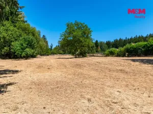 Prodej chalupy, Měčín - Petrovice, 85 m2