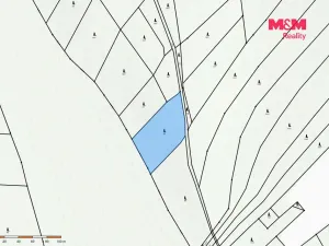 Prodej lesa, Luže - Doly, 4481 m2