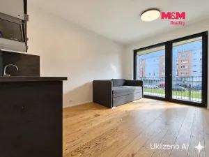 Pronájem bytu 1+kk, Praha - Strašnice, Ramonova, 27 m2