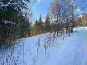 Prodej pozemku, Albrechtice v Jizerských horách, 590 m2
