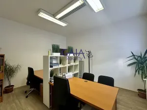 Pronájem kanceláře, Hodonín, Dolní Valy, 19 m2