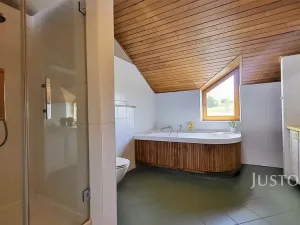 Prodej rodinného domu, Čížová, 346 m2