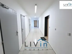 Pronájem bytu 1+kk, Olomouc, Rokycanova, 43 m2