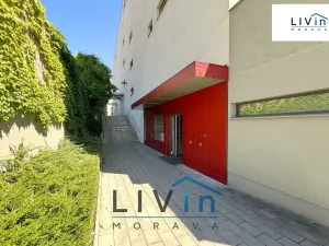 Pronájem bytu 1+kk, Olomouc, Rokycanova, 43 m2