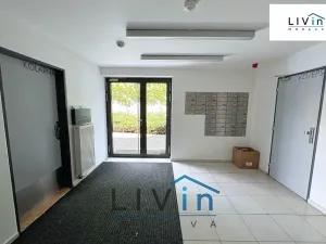 Pronájem bytu 1+kk, Olomouc, Rokycanova, 43 m2