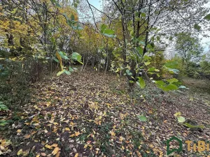 Prodej zahrady, Blansko, 541 m2