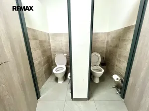 Pronájem výrobních prostor, Kyjov, 640 m2