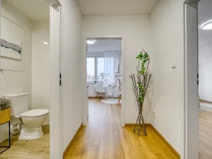 Pronájem bytu 1+1, Ústí nad Labem - Krásné Březno, Rozcestí, 41 m2