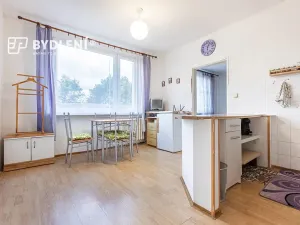 Prodej bytu 1+1, Krupka, Karla Čapka, 36 m2