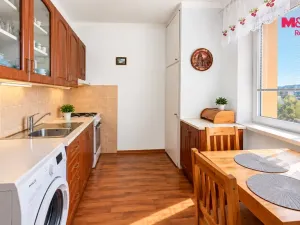 Prodej bytu 1+1, Havířov - Podlesí, Kosmonautů, 36 m2