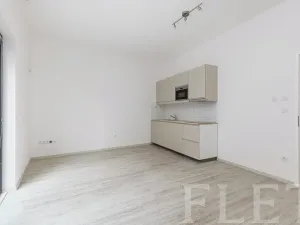 Pronájem bytu 1+kk, Praha - Smíchov, Pod Barvířkou, 32 m2