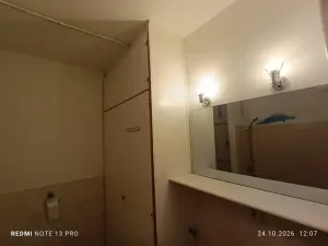 Prodej bytu 1+1, Frýdek-Místek, Anenská, 40 m2