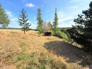 Prodej chalupy, Trnava, 124 m2