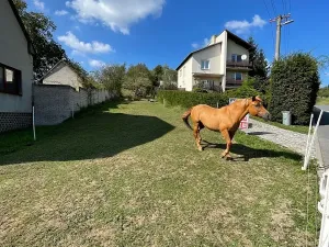 Prodej pozemku pro bydlení, Pašovice, 1279 m2