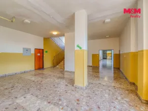 Prodej obchodního prostoru, Přimda, Severní, 30198 m2