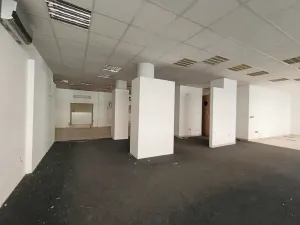 Pronájem obchodního prostoru, Hradec Králové, Gočárova třída, 170 m2