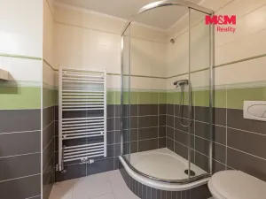 Prodej rodinného domu, Benešov, Na Chmelnici, 245 m2