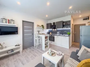 Prodej bytu 1+1, České Budějovice, Antala Staška, 42 m2