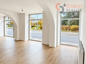 Pronájem obchodního prostoru, Brno, Bubeníčkova, 49 m2