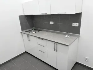 Pronájem obchodního prostoru, Praha - Holešovice, Dělnická, 25 m2