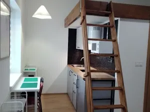 Prodej bytu 1+kk, Praha - Nové Město, Sokolská, 23 m2