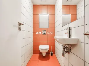 Pronájem bytu 4+kk, Praha - Vinohrady, Mánesova, 130 m2