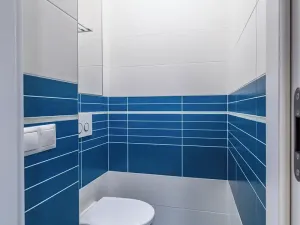 Pronájem bytu 2+kk, Praha - Vinohrady, Moravská, 92 m2