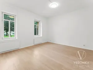 Prodej bytu 1+1, Ústí nad Labem, Žukovova, 45 m2
