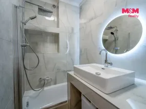 Pronájem bytu 3+kk, Plzeň - Východní Předměstí, Francouzská třída, 55 m2