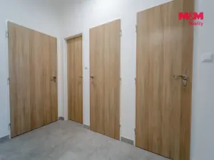 Pronájem bytu 3+kk, Plzeň - Východní Předměstí, Francouzská třída, 55 m2