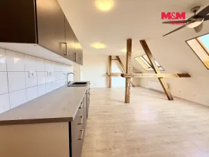 Pronájem bytu 1+kk, Praha - Dejvice, Koulova, 61 m2