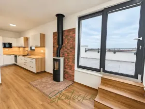Pronájem bytu 3+kk, Hodonín, 150 m2