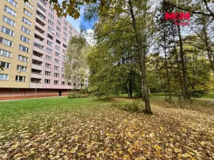 Prodej bytu 2+1, Ostrava - Hrabůvka, Josefa Kotase, 50 m2
