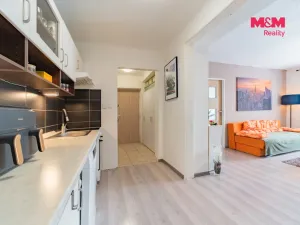 Pronájem bytu 3+kk, Horní Slavkov, Poštovní, 55 m2