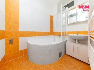 Prodej bytu 2+kk, Brno, Rybářská, 72 m2
