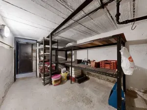 Prodej rodinného domu, Týniště nad Orlicí, Olšina, 100 m2
