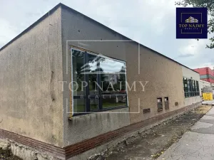 Pronájem skladu, Ostrava, Novinářská, 321 m2
