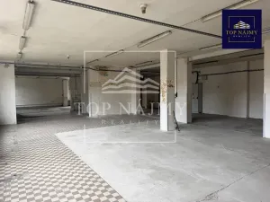 Pronájem skladu, Ostrava, Novinářská, 321 m2
